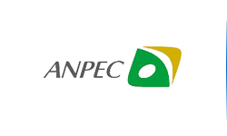 Anpec Electronics˾B